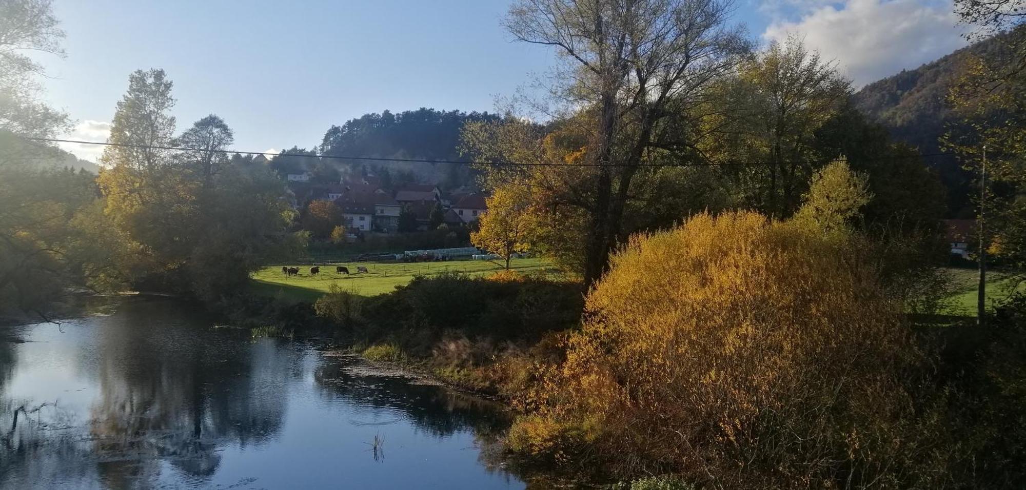 Hisa Haasberg Planina (Notranjska) Exterior foto